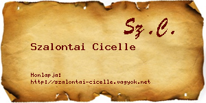 Szalontai Cicelle névjegykártya